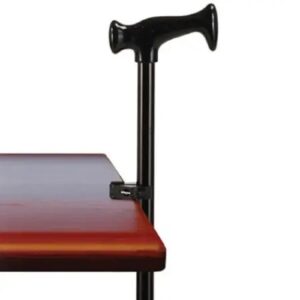 Cane Holder