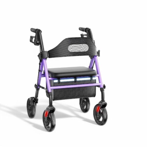 GX-R009 - Image 3